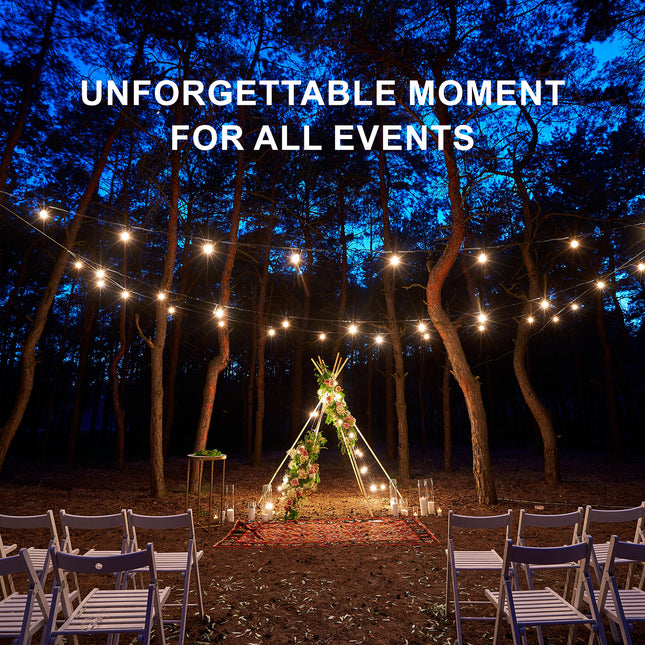 10 Bulbs 14m Festoon String Lights